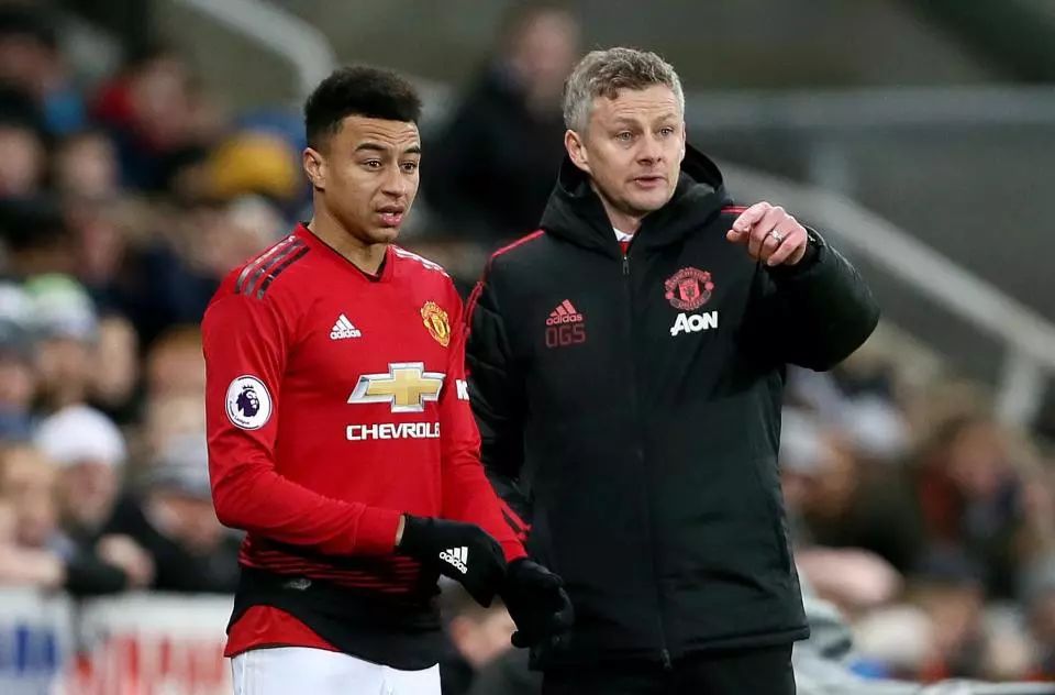 冬季运动中 冬季运动中